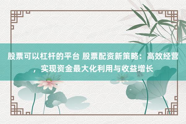 股票可以杠杆的平台 股票配资新策略：高效经营，实现资金最大化利用与收益增长