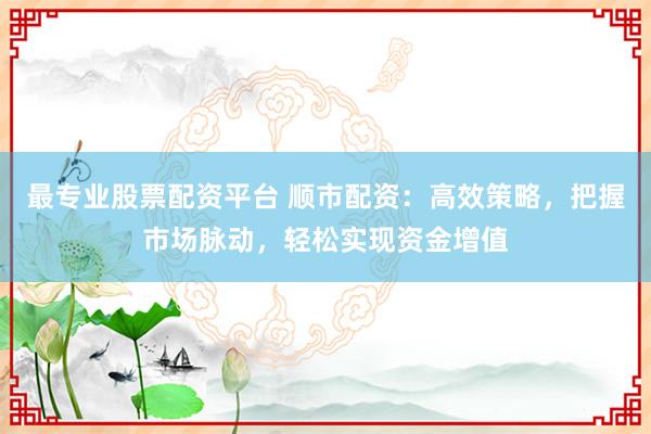 最专业股票配资平台 顺市配资：高效策略，把握市场脉动，轻松实现资金增值