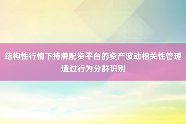 结构性行情下持牌配资平台的资产波动相关性管理通过行为分群识别