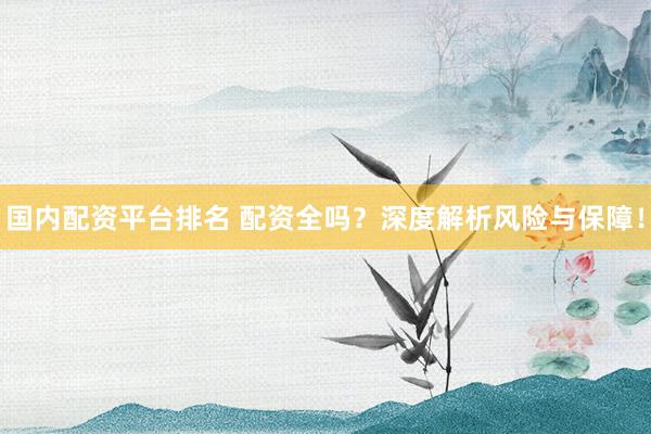 国内配资平台排名 配资全吗？深度解析风险与保障！