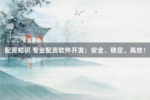 配资知识 专业配资软件开发：安全、稳定、高效！