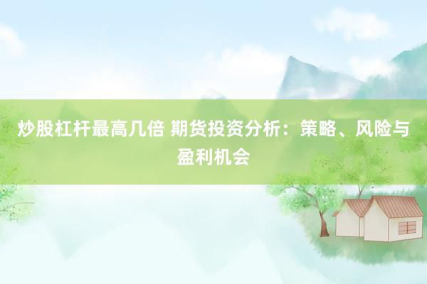炒股杠杆最高几倍 期货投资分析：策略、风险与盈利机会