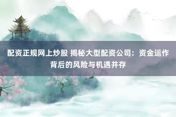 配资正规网上炒股 揭秘大型配资公司：资金运作背后的风险与机遇并存